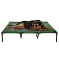 PETMAKER 48x35.5 Elevated Dog Bed, Green