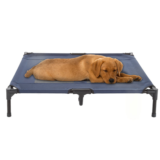 Elevated Dog Bed