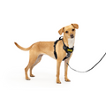 Easy Walk Comfort No-Pull Dog Harness