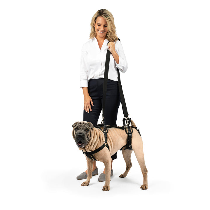 CareLift™ Support Harness