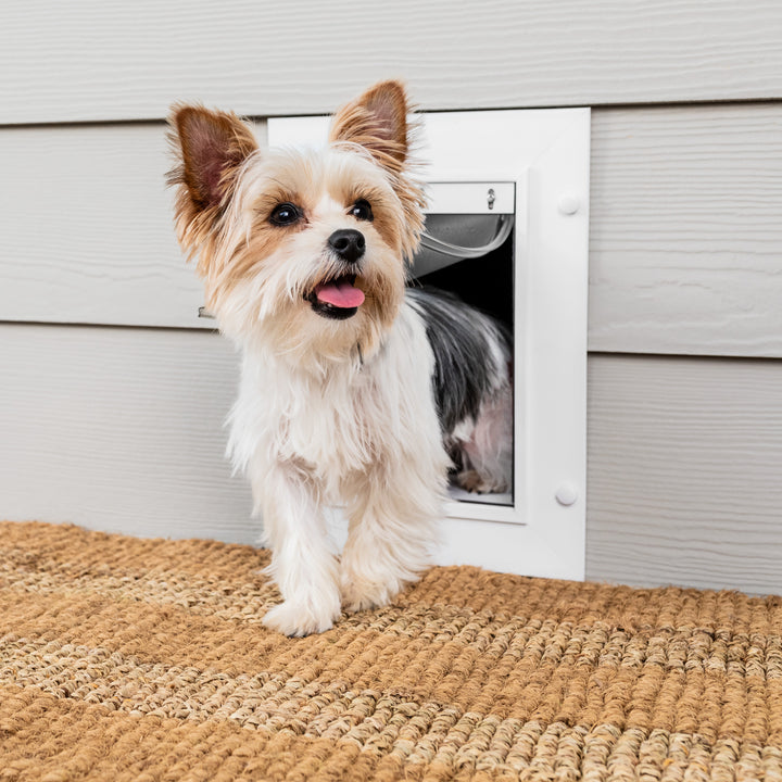 Pet Door for Wall - Wall Entry Pet Door