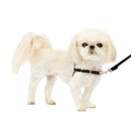Easy Walk Harness, No Pull Dog Harness