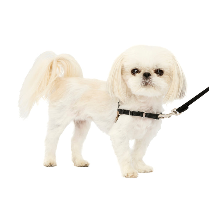 Easy Walk Harness, No Pull Dog Harness