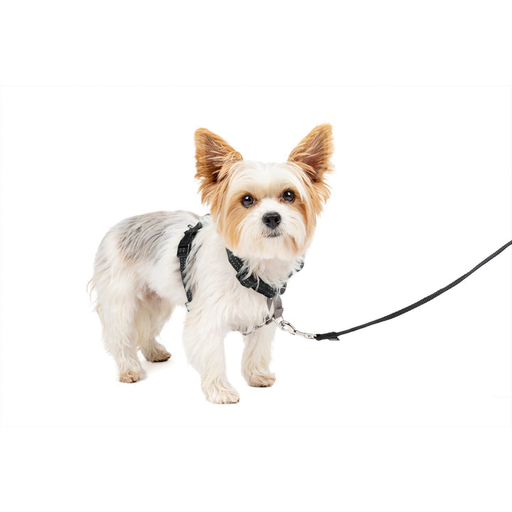 Easy Walk 3 in 1 Harness